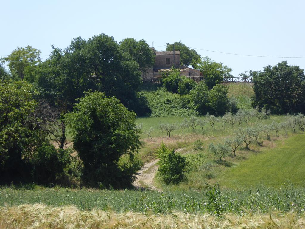 Pietre Di Fiume Villa Apice Buitenkant foto